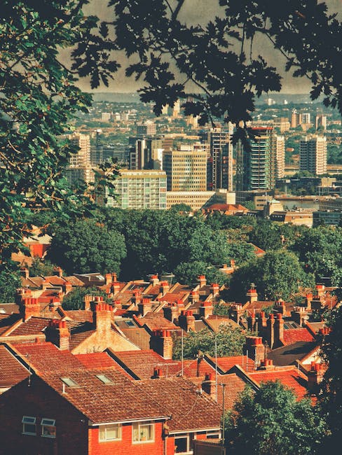 A wide view of a cityscape seen from a higher vantage point with tree branches and leaves in the foreground, partially framing the scene. In the midground, there are rows of traditional red-brick terr